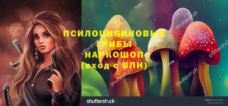 купить наркотик  Советская Гавань  Галлюциногенные грибы MAGIC MUSHROOMS 